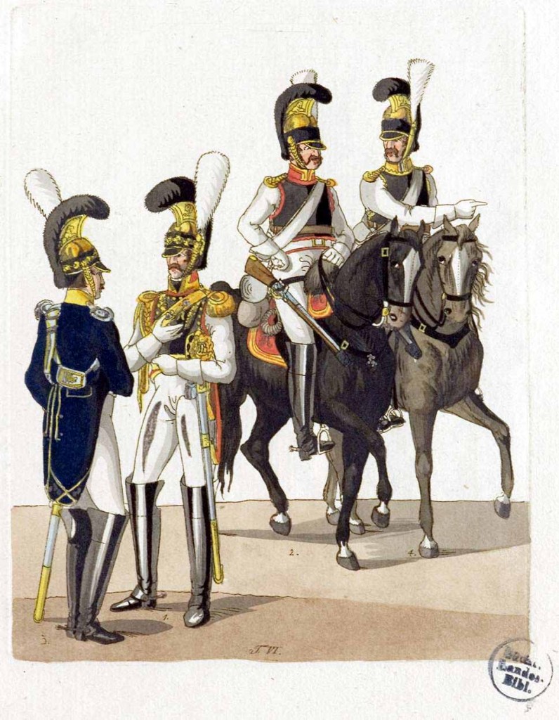 The Uniforms of the Saxon Army in 1811 - vulgar dicitionary