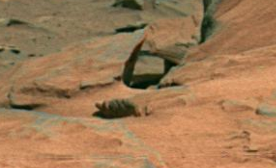 Giant Caterpillar Alien on Mars