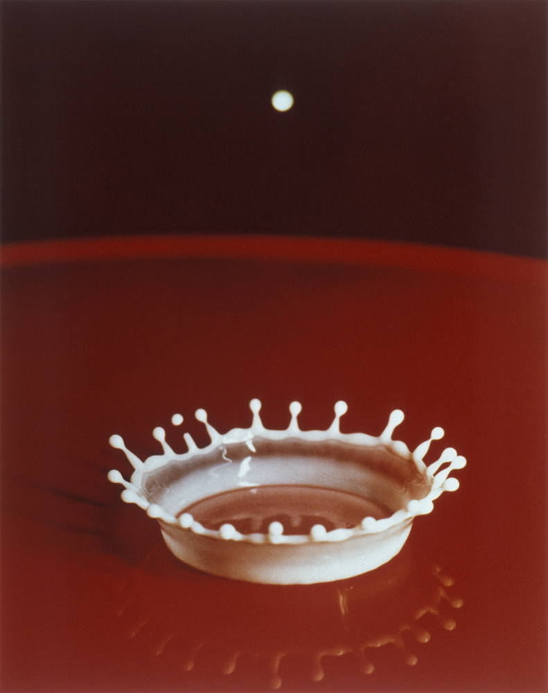 Harold Edgerton - Milk Drop Coronet - Photo - 1957
