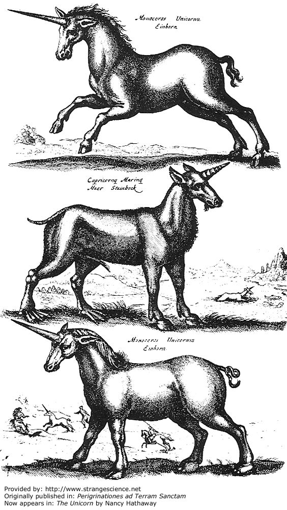 Unicorns - Old Pictures - Erhard Reuwich - 1486