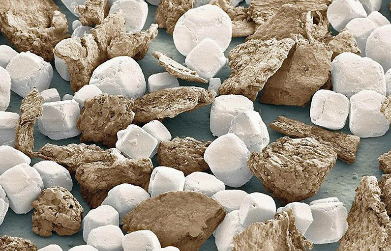 Electron Microscope Images - Every Day Objects - Salt and Pepper