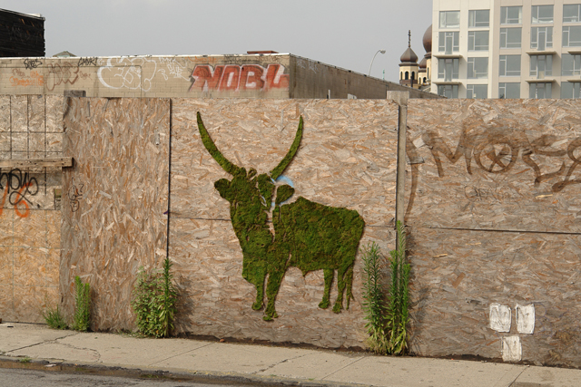 Moss Graffiti - Big Horn Cattle - The New School