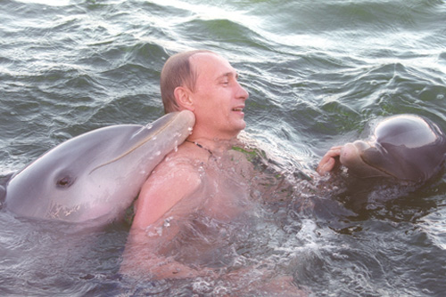 Putin Looking Like Hero James Bond - Swimming With Dolphins