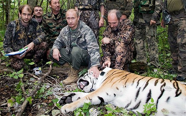 Putin Looking Like Hero James Bond - With Tiger