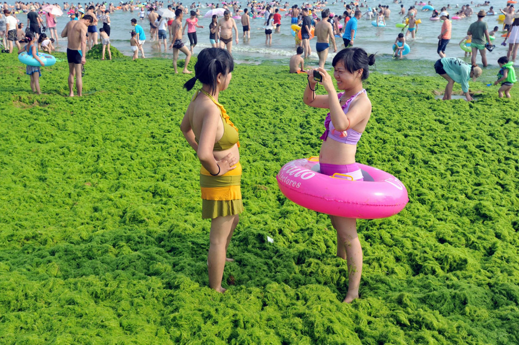 Qingdao - Algae Beach - China - Holiday - Busy Beach