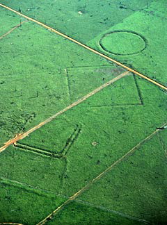 Ancient Civilization AMazon Basin - Forest Square and Circle