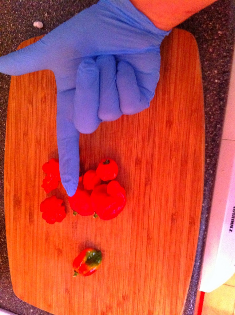 Chilli Peppers - Scotch bonnet Fruity Spice Recipe - Wear Gloves
