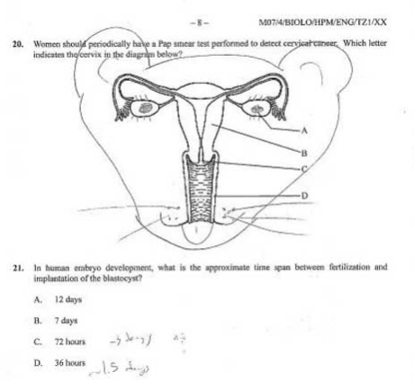 Defaced Text Books - Humour - Reproductive Organ Face