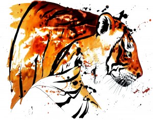 mutiny ai series tiger global insight